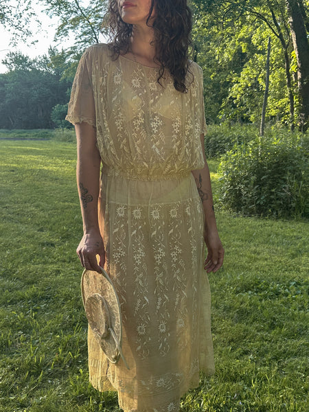1910’s Silk Net and Embroidered Dress